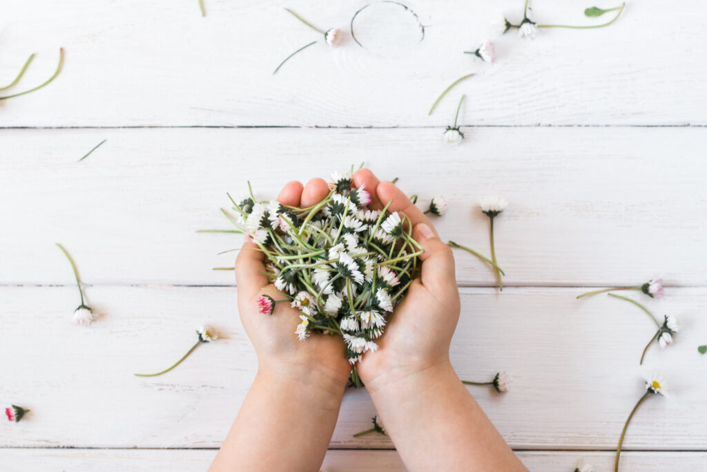 flowers in child's hands flat lay